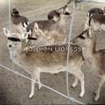Kristofer Aström - Hold On Lioness [EP]