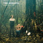 The Ocelots - Started To Wonder